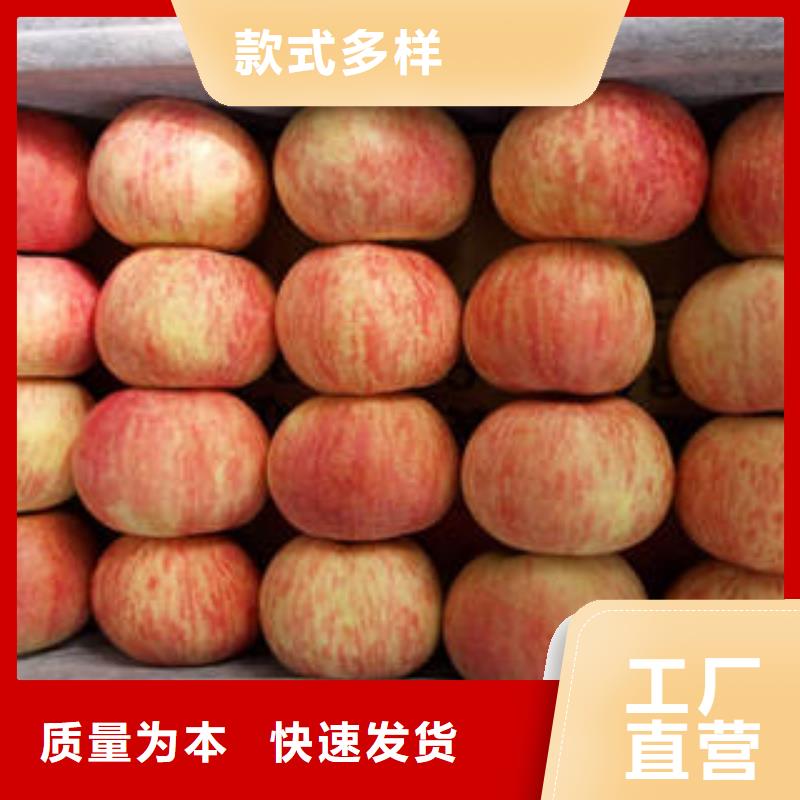 【红富士苹果嘎啦果支持定制批发】