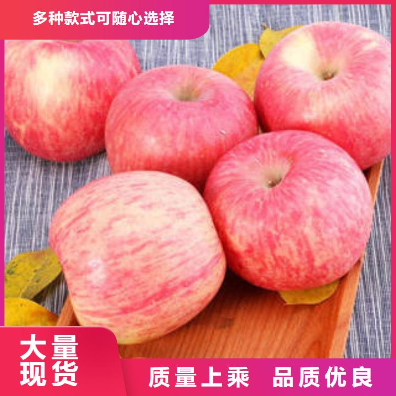 红富士苹果苹果批发热销产品