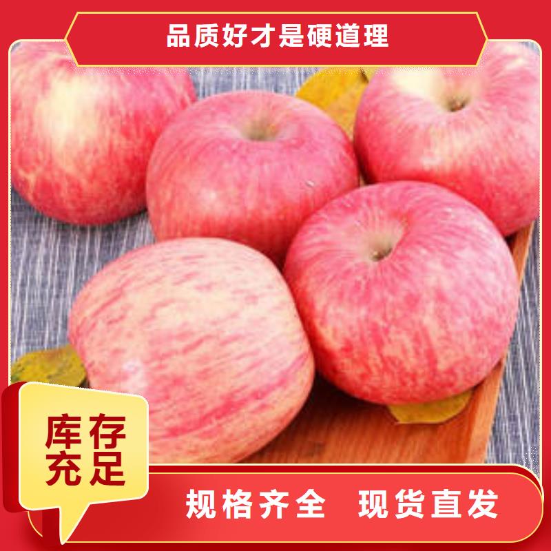 [景才]:红富士苹果【嘎啦果】品质信得过库存齐全厂家直供-