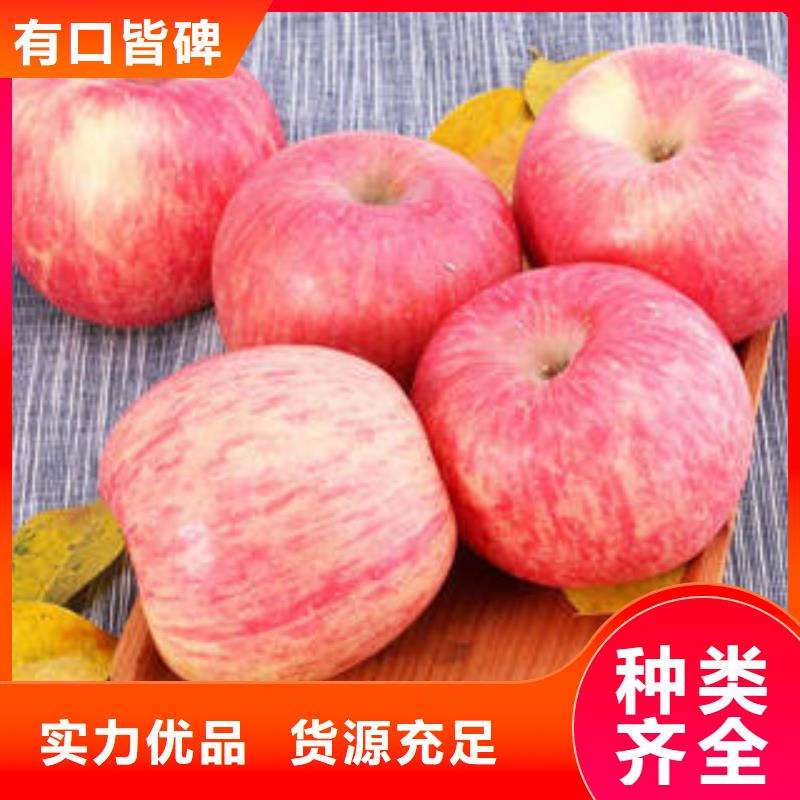 大厂家实力看得见[景才]红富士苹果-苹果 产品细节