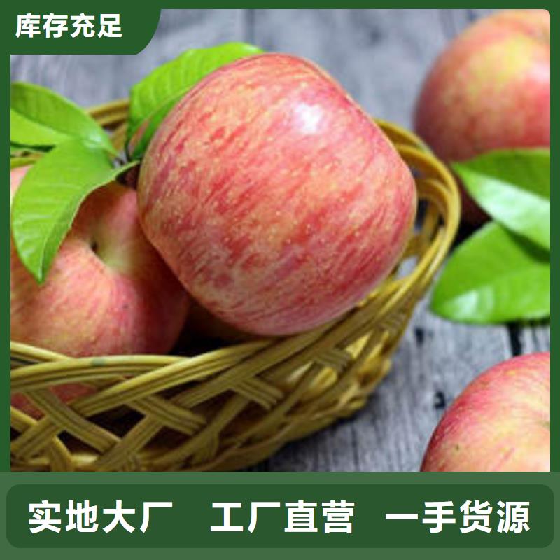打造行业品质【景才】红富士苹果-嘎啦苹果现货直发