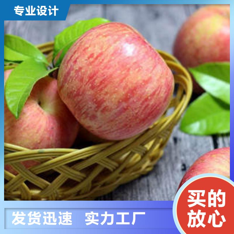 选购【景才】红富士苹果_红富士苹果批发品类齐全