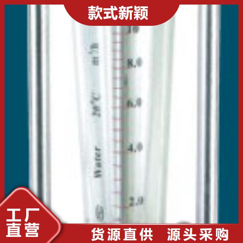 定制(瑞明)G10 氮气流量计专业的生产厂家