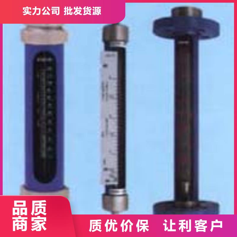 定制(瑞明)G10氮气流量计专业的生产厂家