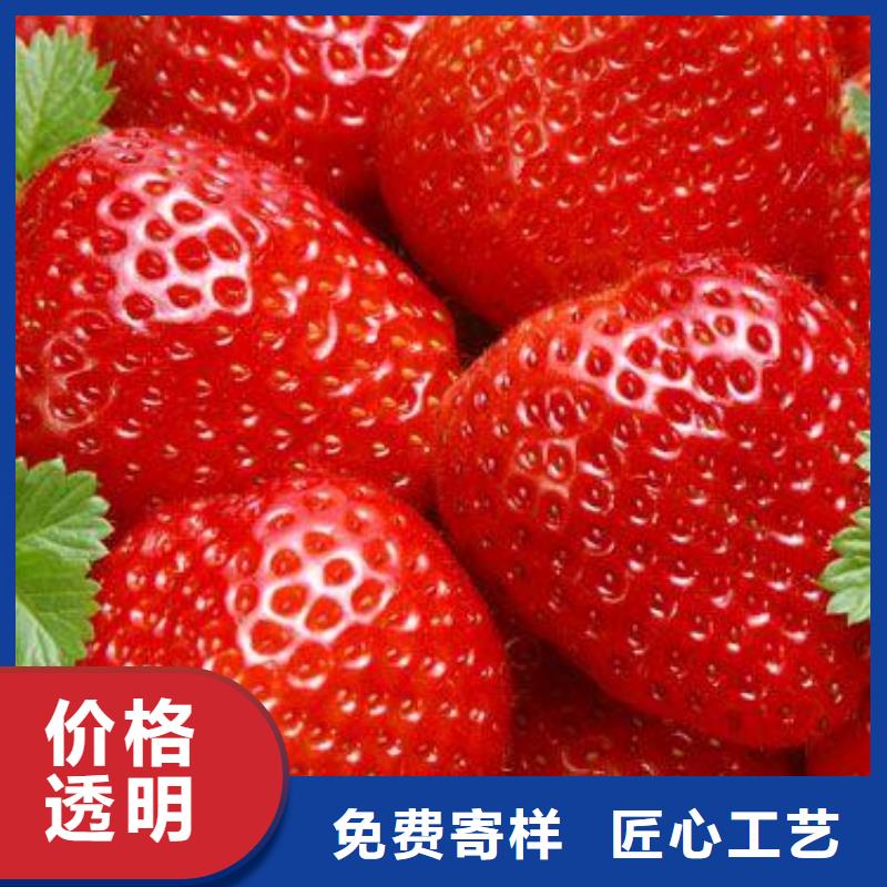 本地[兴海]草莓苗桃树苗多种规格可选