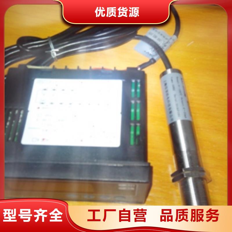 IRTP300L_金属转子流量计应用广泛