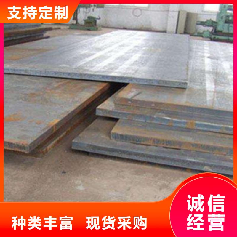 定安县支持定制的Q420qc桥梁钢板生产厂家- 本地 原料层层筛选_产品案例