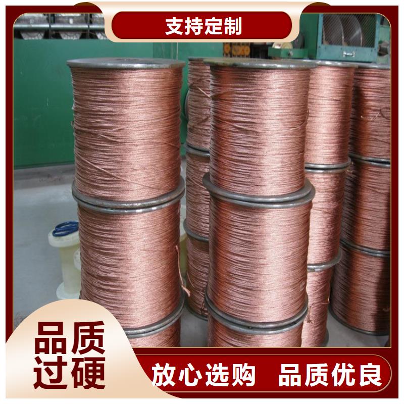 芜湖TJR70镀锡铜绞线生产商| 本地 生产商