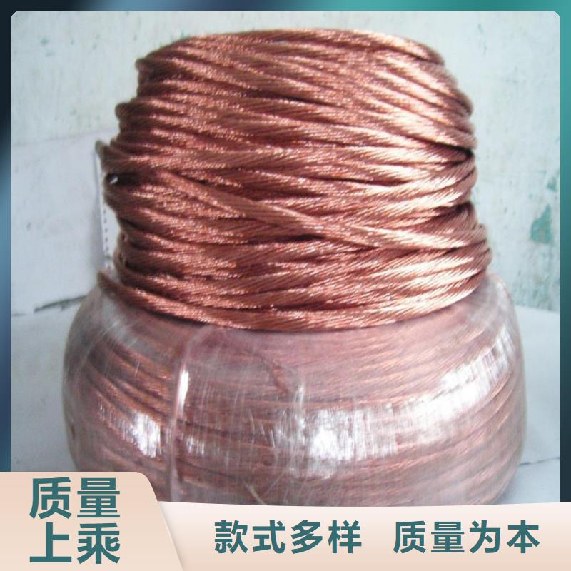 芜湖TJR70镀锡铜绞线生产商| 本地 生产商