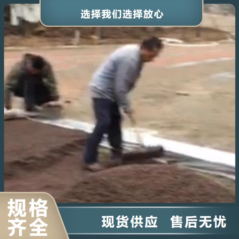 透水水泥压印地坪厂家案例