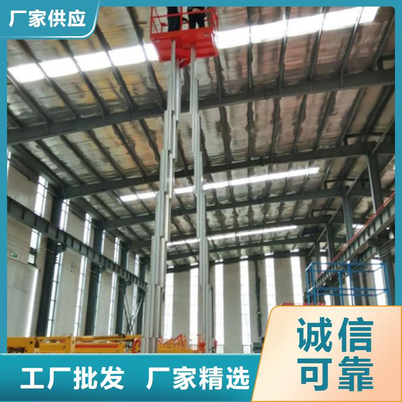 铝合金升降机-【仓储厂房货梯哪家好】源头厂家经验丰富