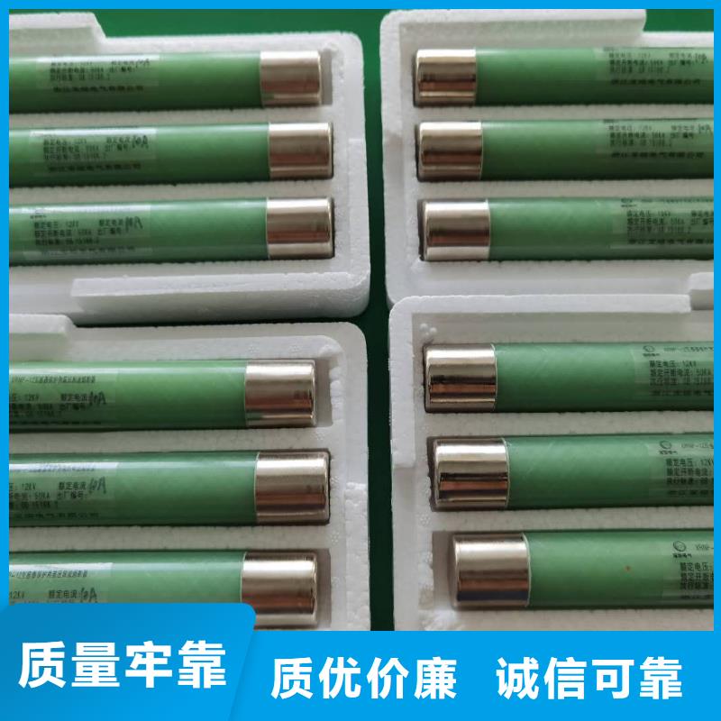 宁波XRNP1-12KV/2A3A熔管高压保险丝生产厂家