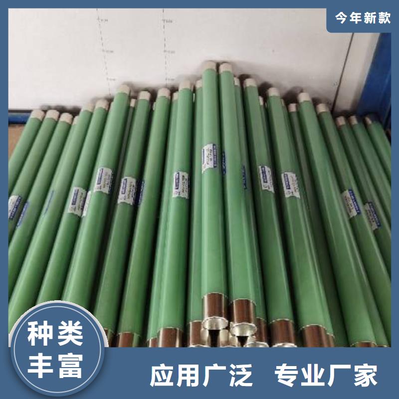 黔东南XRNP1-12KV/2A3A熔管高压保险丝生产厂家