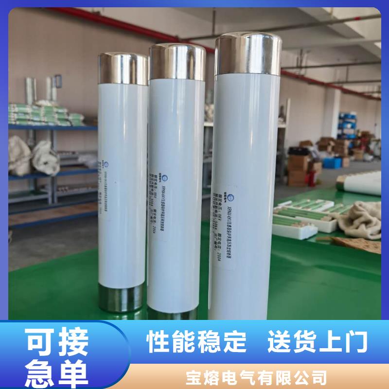 洛阳XRNP-7.2KV/0.51A2A高压保险丝型号价格