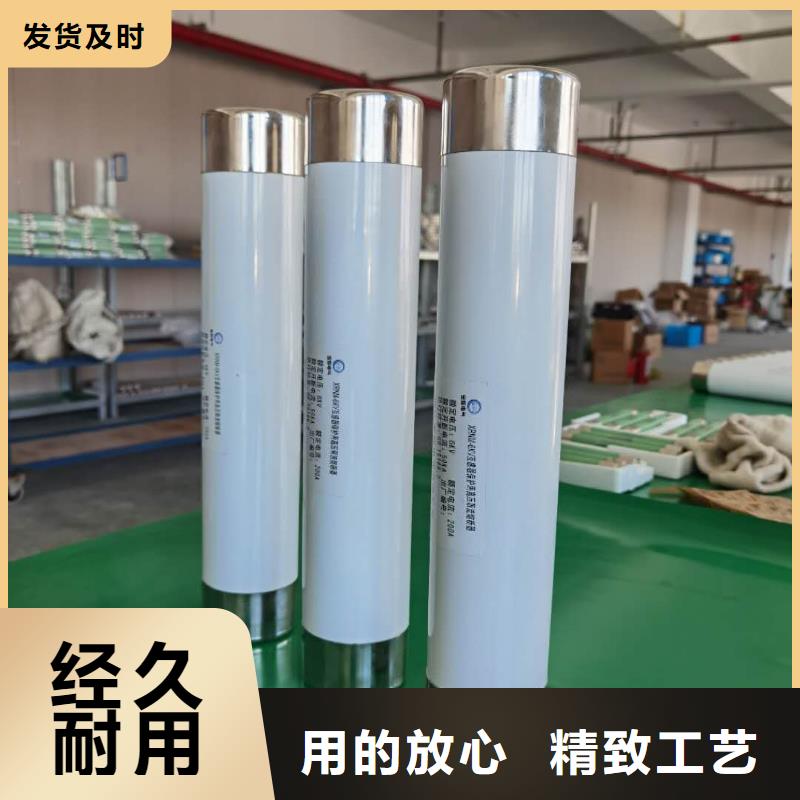 烟台变压器保护用高压限流熔断器XRNT1-10KV/25A型号齐全