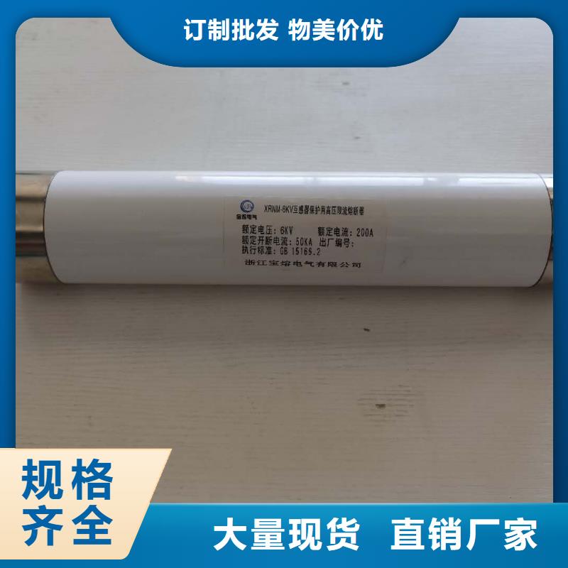 随州高压熔断器XRNT-7.2/6.3A10A16A