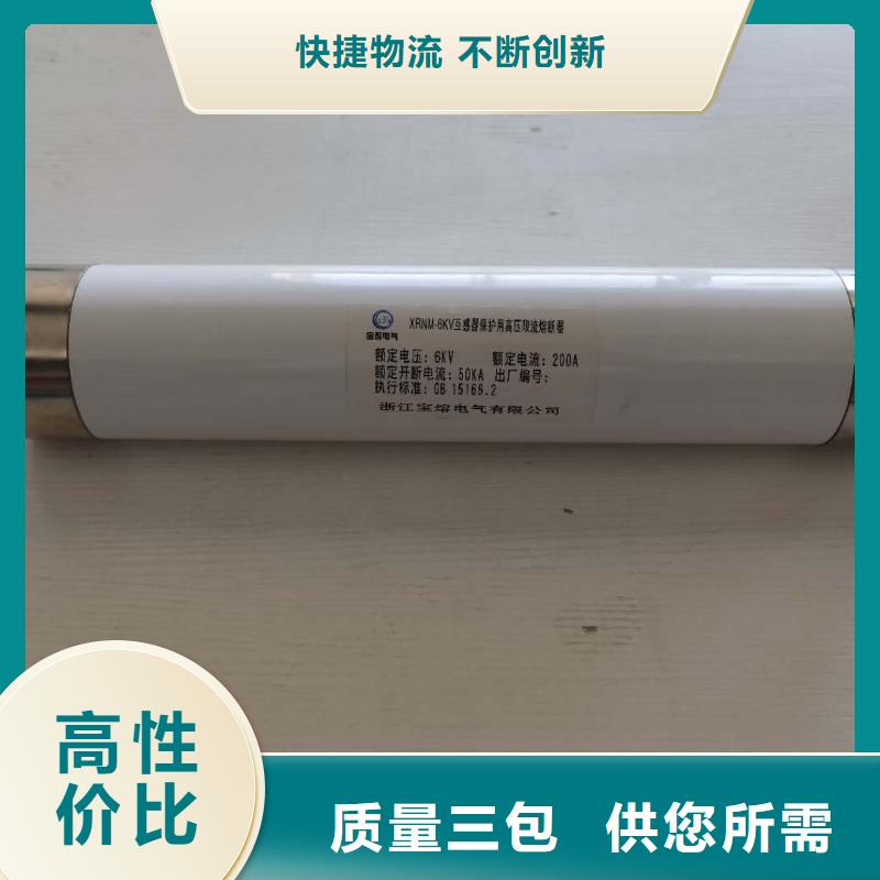 海口XRNP-35KV/0.5A1A熔芯高压保险丝熔断器