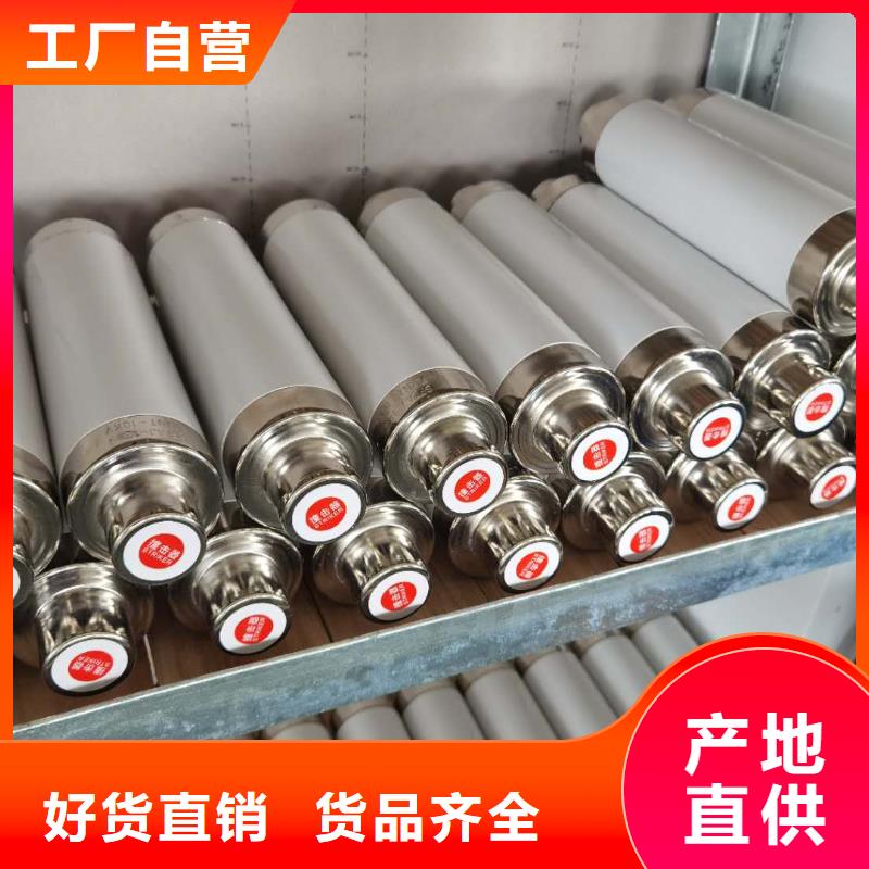 香港变压器保护用高压限流熔断器XRNT1-10KV/25A型号齐全