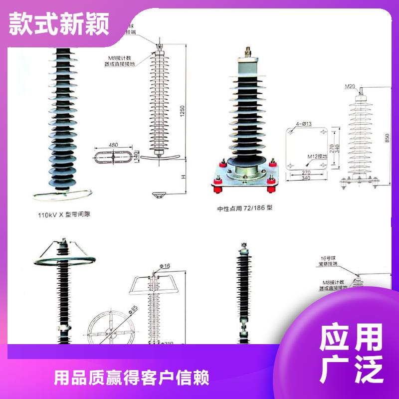 台湾电站型氧化锌避雷器避雷器HY10WZ-96/250厂家