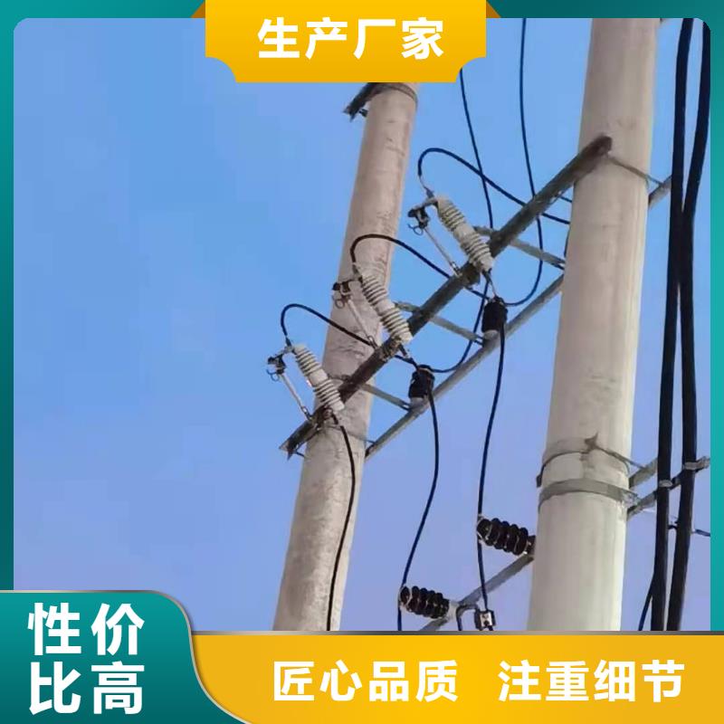 宝熔跌落式熔断器FKN12-12/630A厂家直发通过国家检测