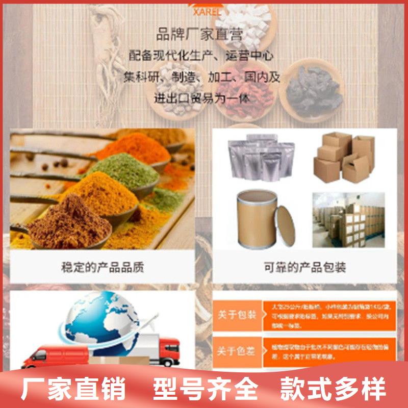 优质羽衣甘蓝粉的基地