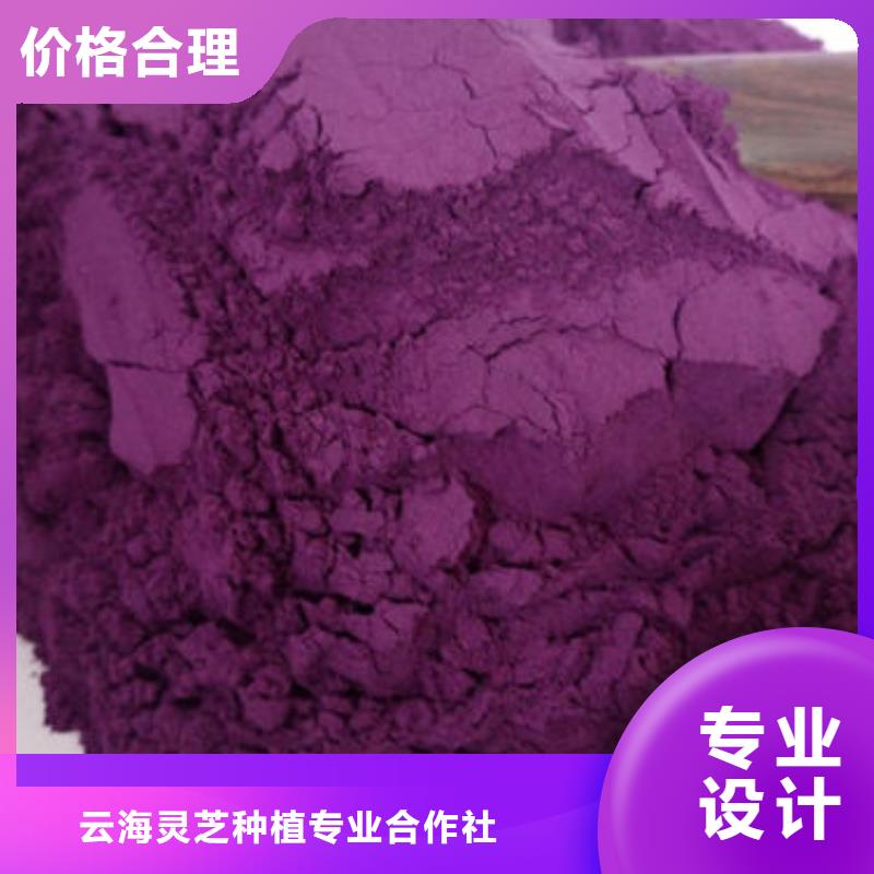 本地(云海)紫薯粉 灵芝孢子粉价格品质保证实力见证