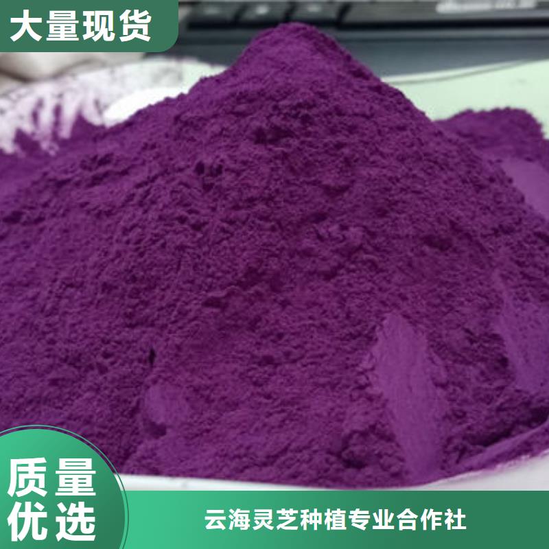 (云海)黄冈紫薯粉多少钱