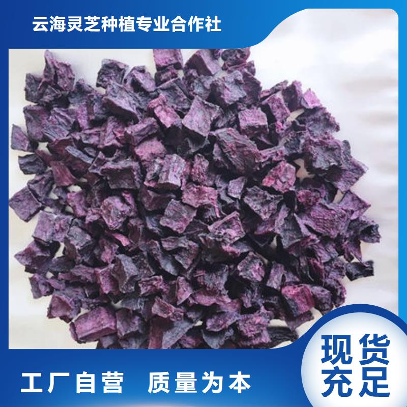 质量层层把关<云海>紫薯丁灵芝孢子粉价格从厂家买售后有保障