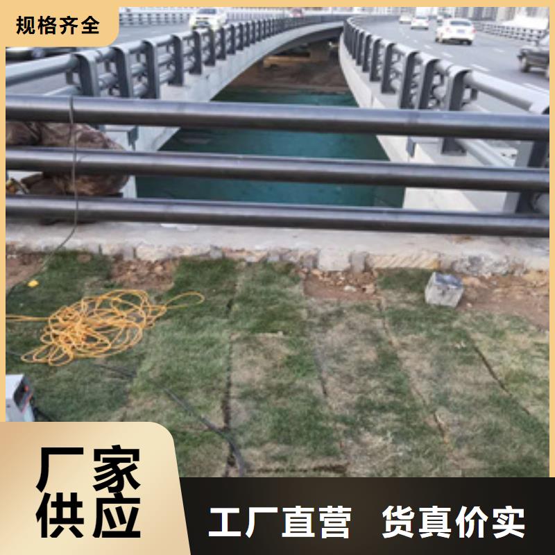 碳钢喷漆桥梁防撞护栏展鸿护栏厂家生产源头