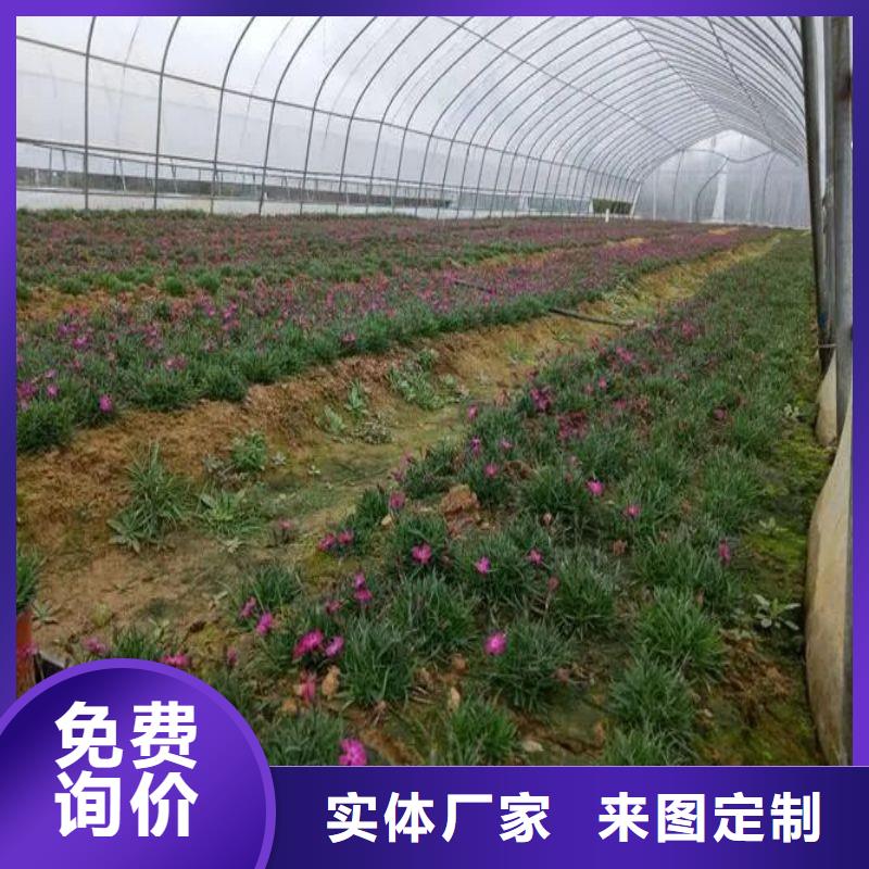【大棚管2_大棚管热销产品】