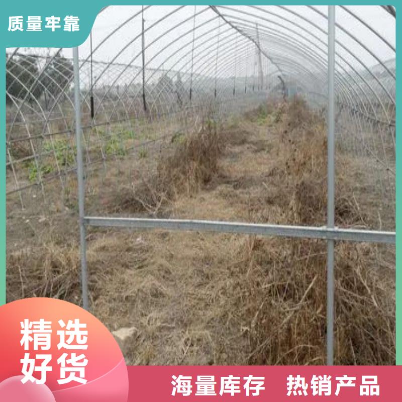 大棚管2温室骨架大棚管多种优势放心选择