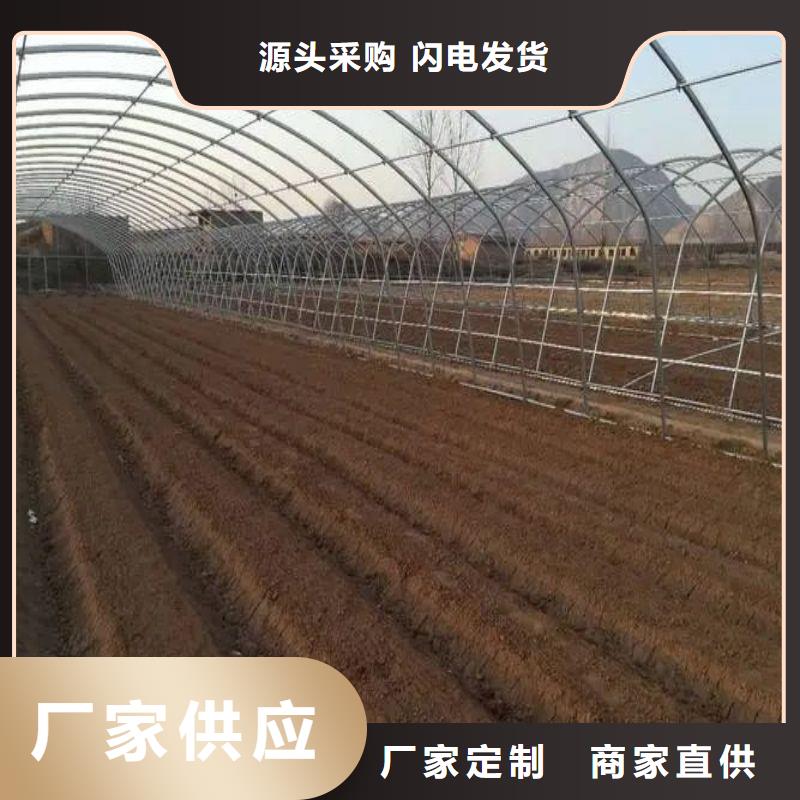 县连栋大棚骨架感兴趣