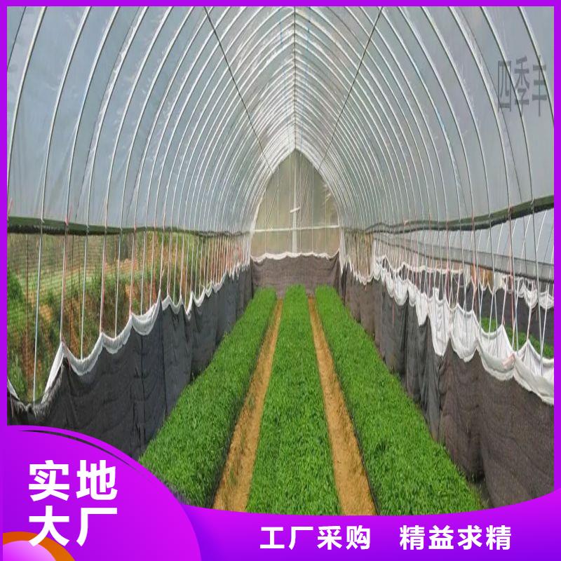 县热镀锌大棚管源头厂家