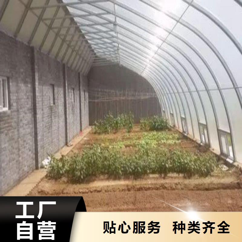 青阳塑料薄膜大棚批发零售