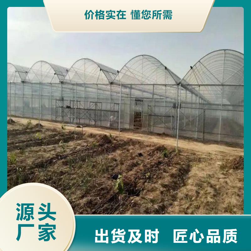 大棚管2-【大棚管】专注细节专注品质