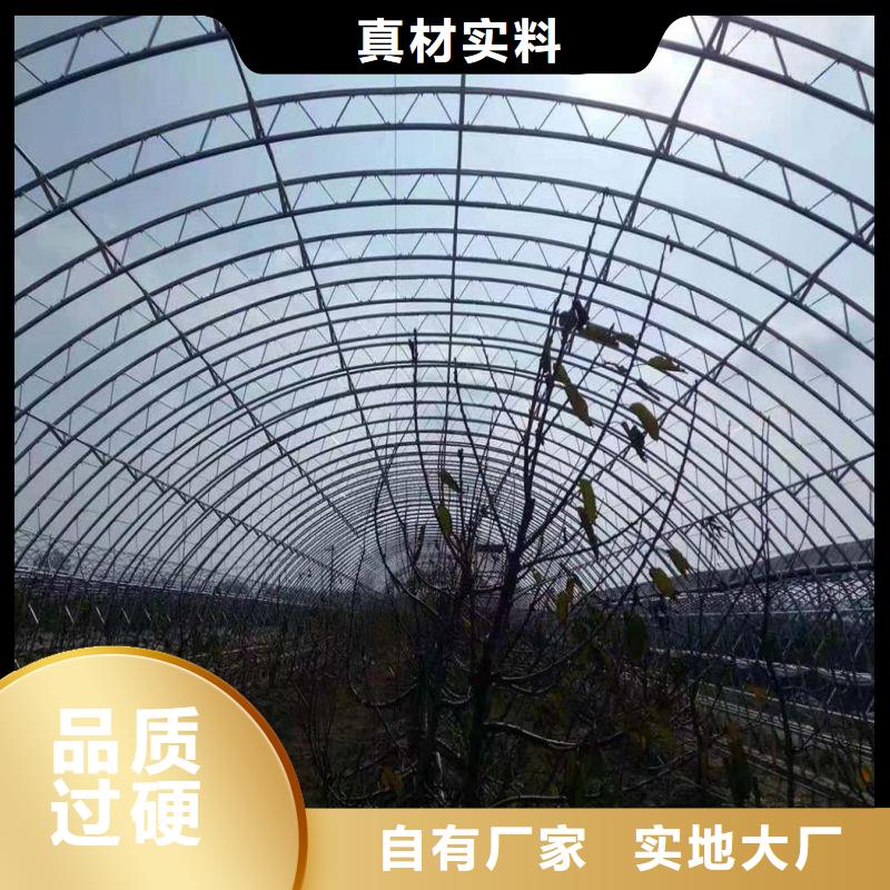 县连体大棚用镀锌管 可定制