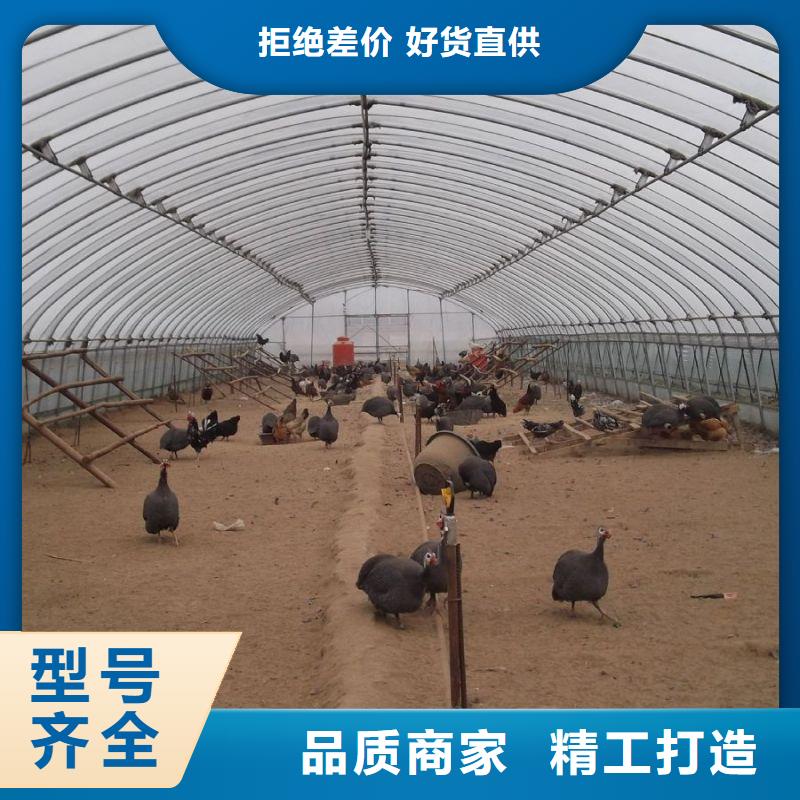 大棚管2大棚管诚信商家