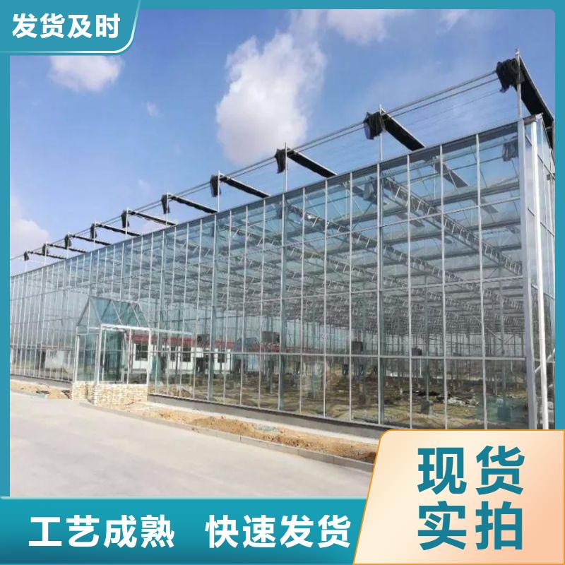 珠山种植大棚货源