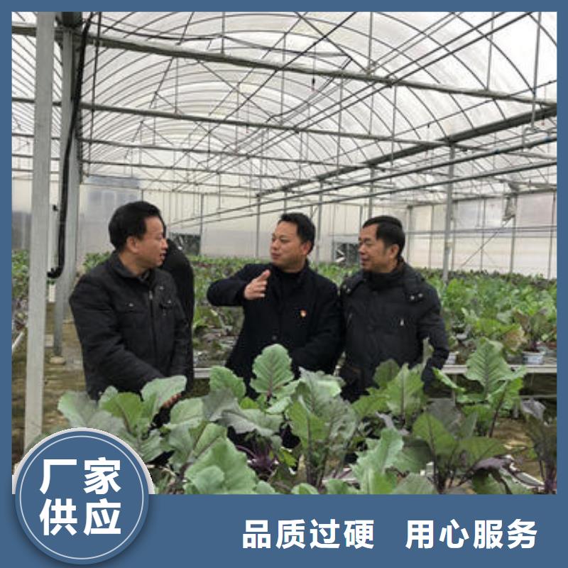 大棚管大棚管厂家支持批发零售