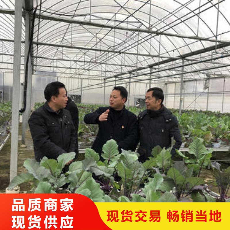 大棚管,【镀锌方管】质量看得见