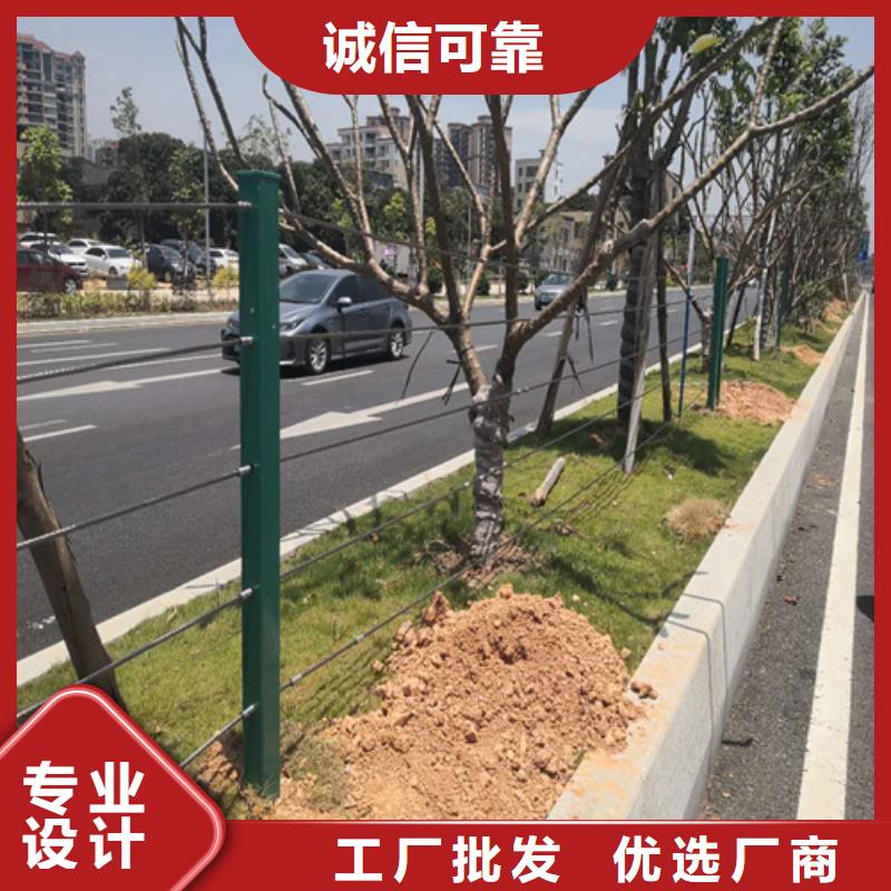 绳索护栏相关知识厂家-有口皆碑-全国发货