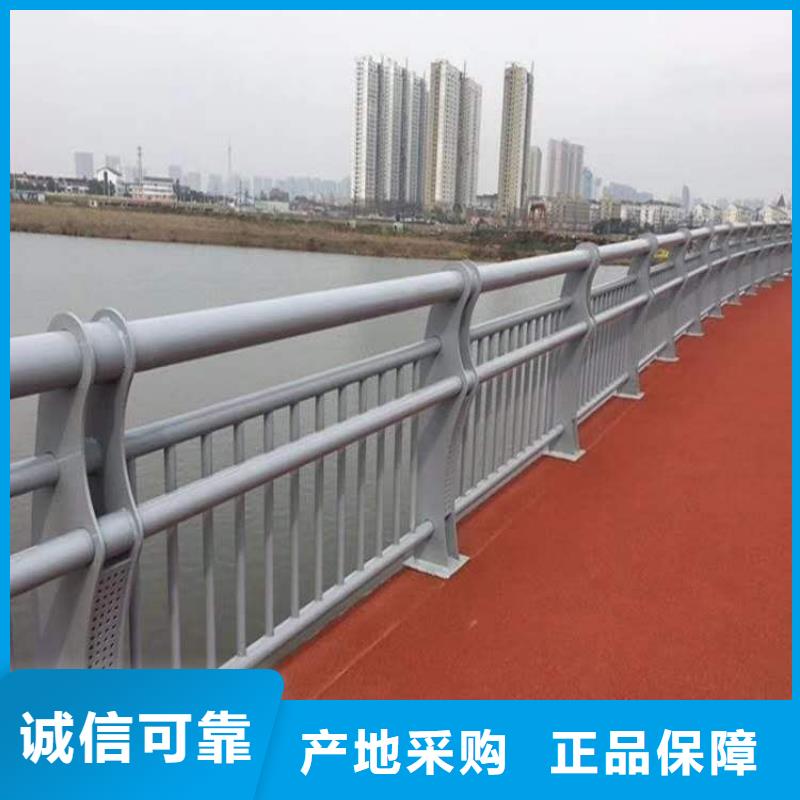 儋州市河道高架桥防护护栏来图定做