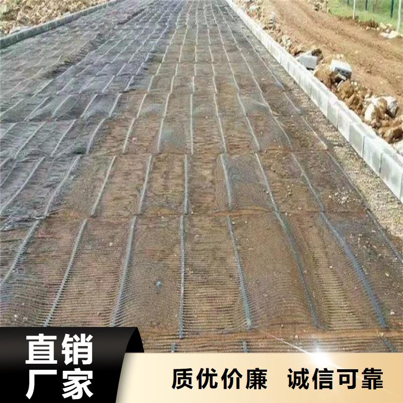 单向塑料土工格栅【HDPE土工膜】用的放心