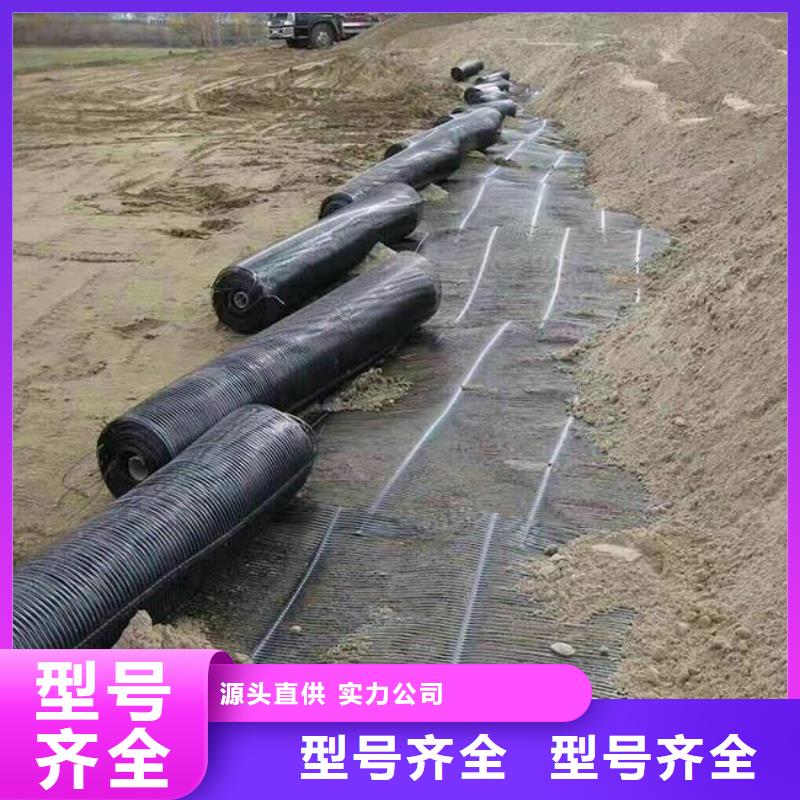 单向塑料土工格栅蜂巢格室专注质量