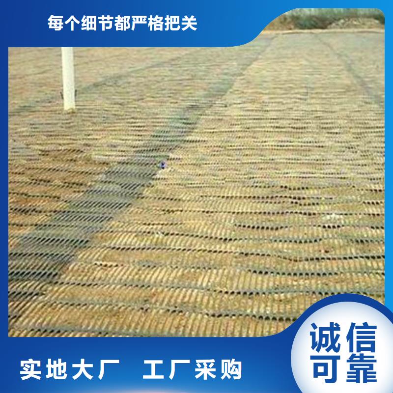 单向塑料土工格栅【PVC防水卷材】讲信誉保质量