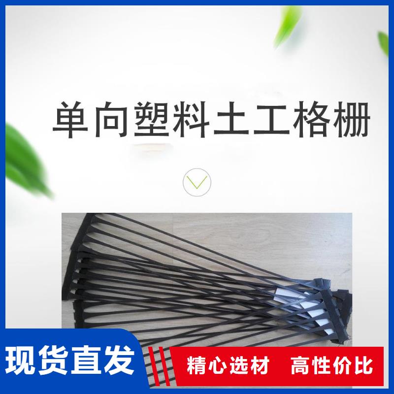 单向塑料土工格栅三维植被网N年生产经验