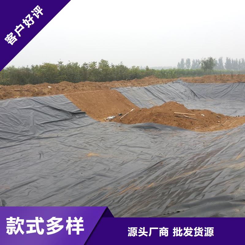 【土工膜】_凸结点钢塑土工格栅多种规格可选