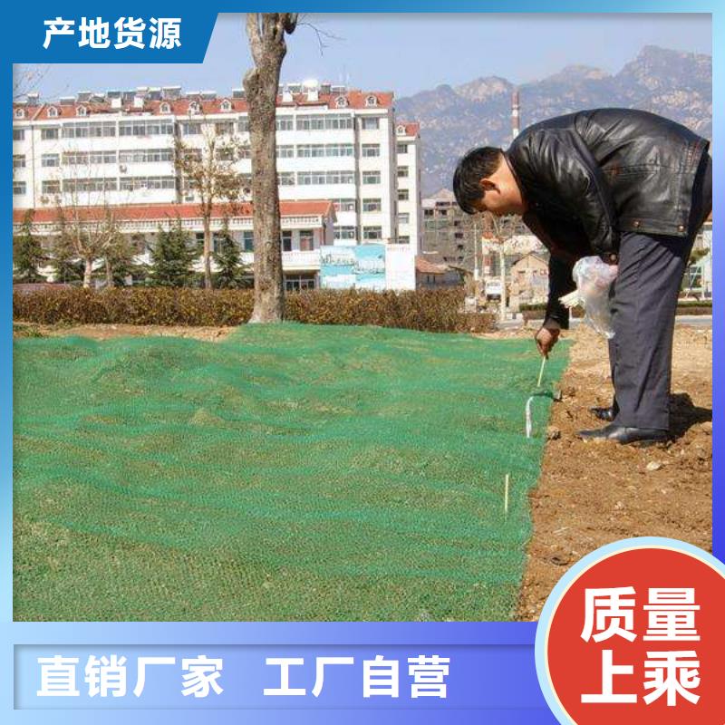 【三维植被网】涤纶土工格栅产品优势特点