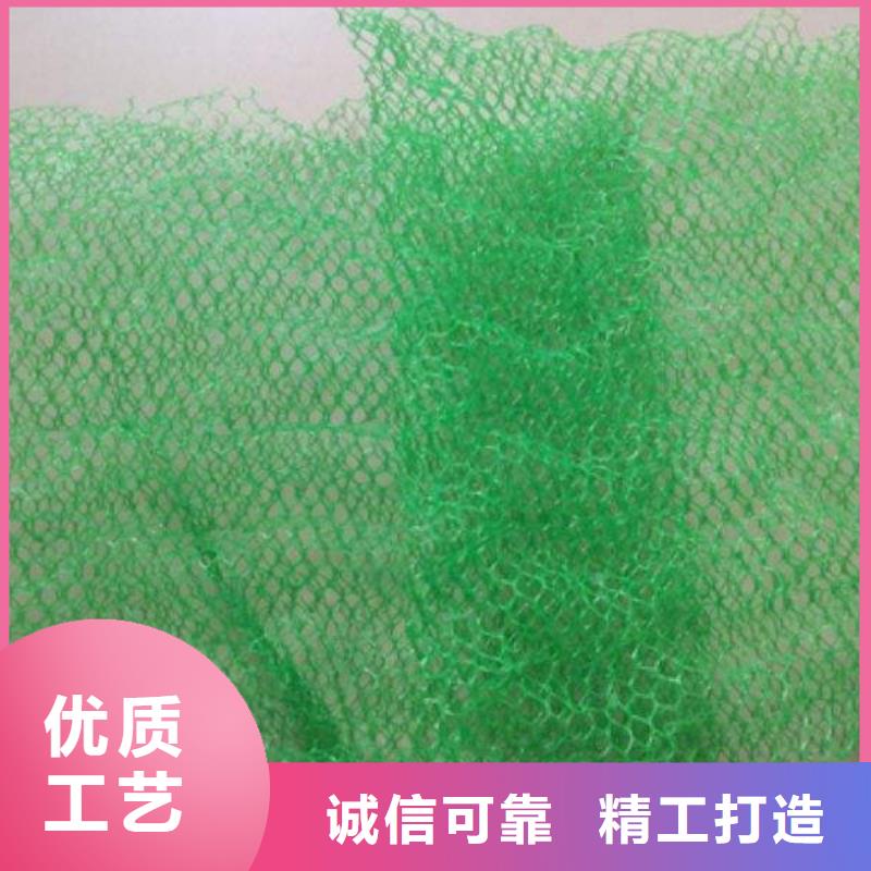 【三维植被网毛细排水板产品参数】