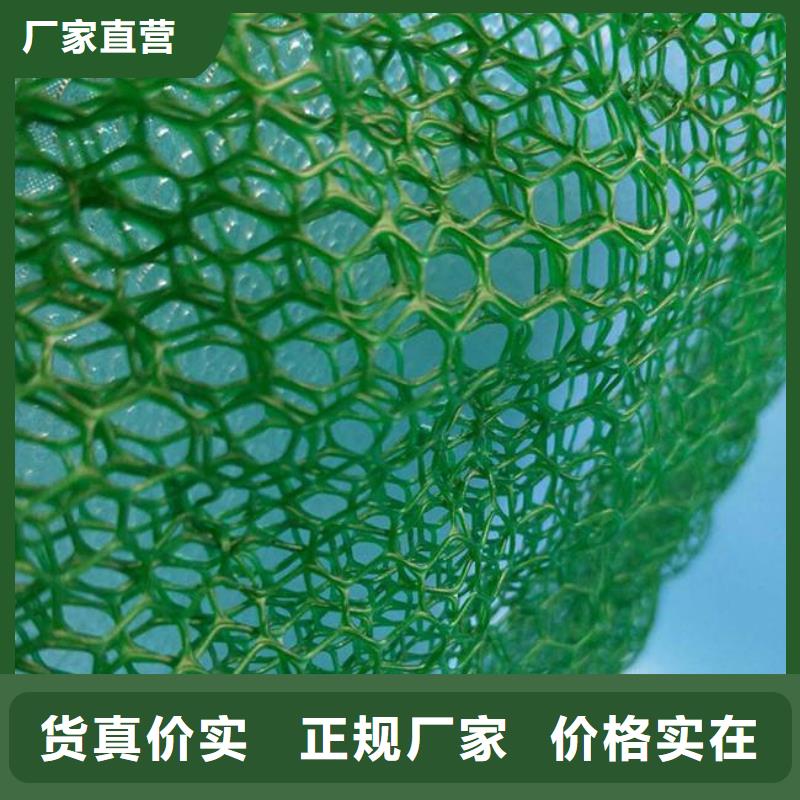 三维植被网-蜂巢格室专业按需定制